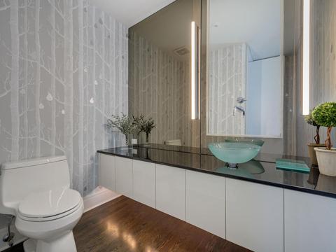 33 E Bellevue Pl #7-E, Chicago, IL 60611 photo 21