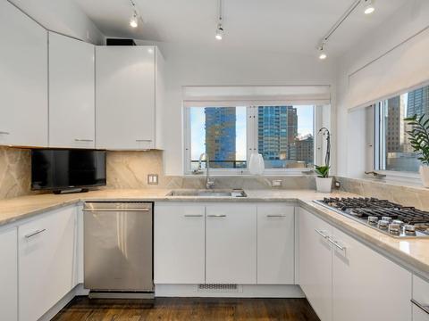 33 E Bellevue Pl #7-E, Chicago, IL 60611 photo 18
