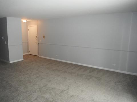 545 Williamsburg Ct #B1, Wheeling, IL 60090 photo 3