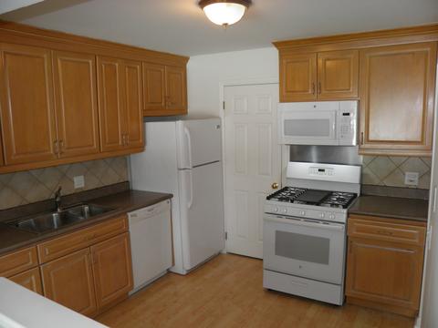 545 Williamsburg Ct #B1, Wheeling, IL 60090 photo 5