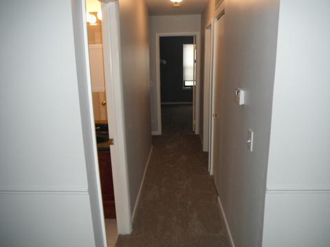 545 Williamsburg Ct #B1, Wheeling, IL 60090 photo 20