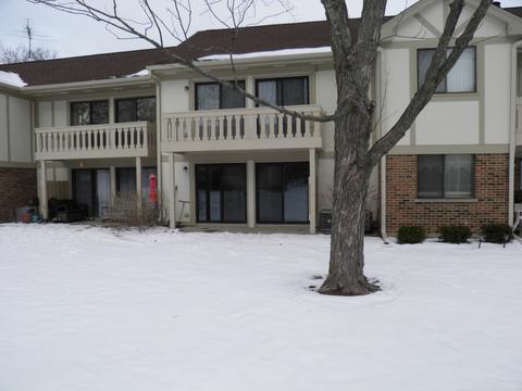545 Williamsburg Ct #B1, Wheeling, IL 60090 photo 22