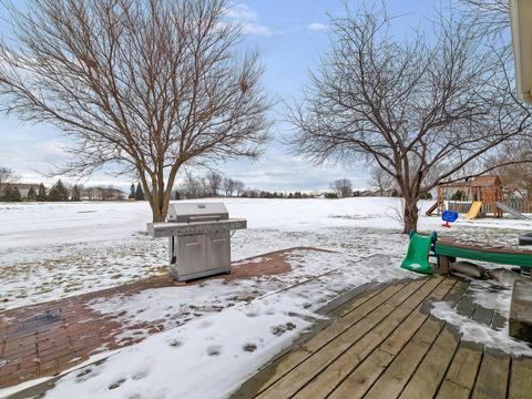 21304 W Cascade Ct, Plainfield, IL 60544 photo 17
