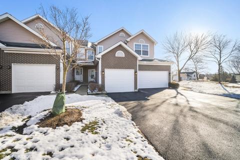 287 Partridge Ct, Algonquin, IL 60102 photo 1