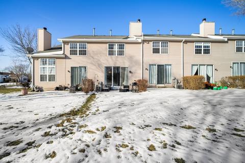 287 Partridge Ct, Algonquin, IL 60102 photo 21