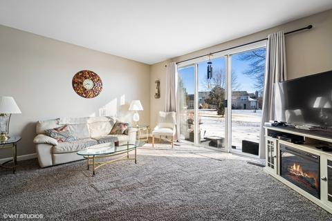 287 Partridge Ct, Algonquin, IL 60102 photo 3