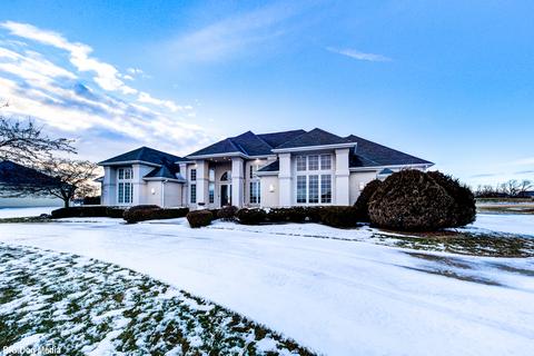 25154 S Doolittle Dr, Monee, IL 60449 photo 84