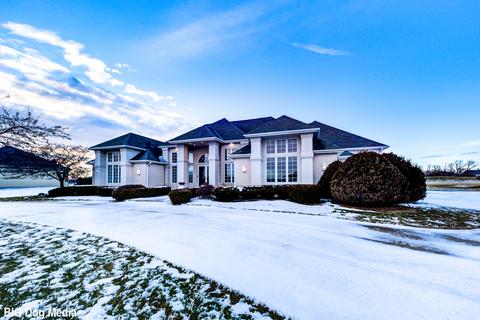 25154 S Doolittle Dr, Monee, IL 60449 photo 1