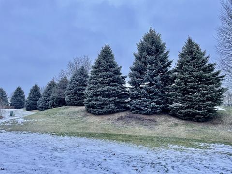 24248 Walnut Cir, Plainfield, IL 60585 photo 4