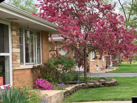3535 Halsted Blvd, Steger, IL 60475 photo 26
