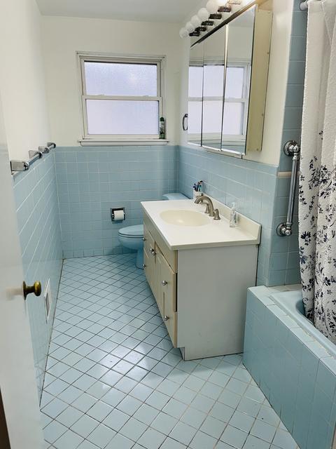8730 Springfield Ave, Skokie, IL 60076 photo 16