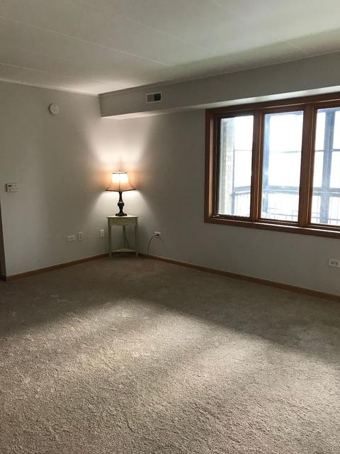 13934 E Leamington Dr #307, Crestwood, IL 60445 photo 4