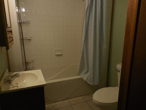 307 E St Paul St, Spring Valley, IL 61362 photo 13
