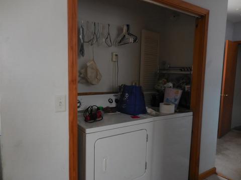 307 E St Paul St, Spring Valley, IL 61362 photo 9