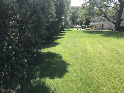695 E 142nd St, Dolton, IL 60419 photo 2