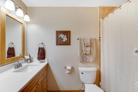15253 Pine Dr, Oak Forest, IL 60452 photo 21