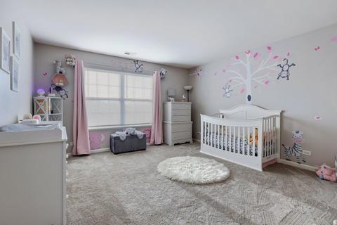 3001 Wagon Rd, Elgin, IL 60124 photo 22