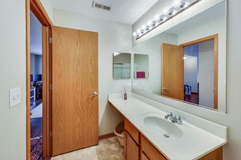 1603 Millbrook Dr, Algonquin, IL 60102 photo 25