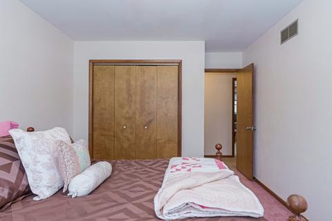 412 W Jackson St, Cullom, IL 60929 photo 23