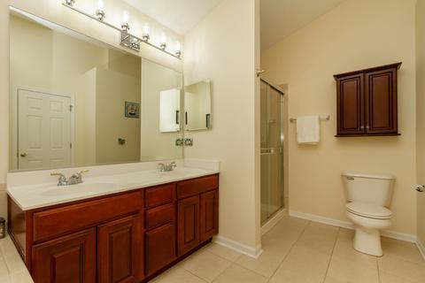 229 Alpine Ct, Gilberts, IL 60136 photo 19
