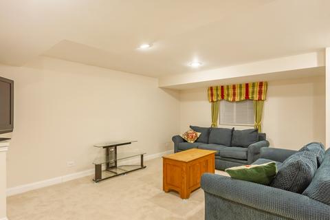 229 Alpine Ct, Gilberts, IL 60136 photo 28