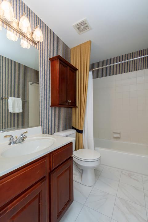 229 Alpine Ct, Gilberts, IL 60136 photo 23