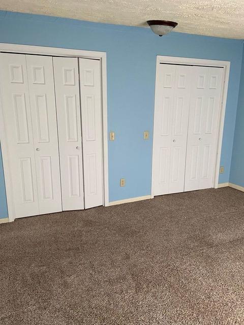 106 N Taylor St, Cherry, IL 61317 photo 17