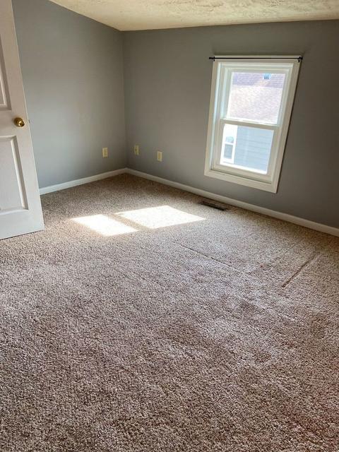 106 N Taylor St, Cherry, IL 61317 photo 18