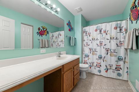 13725 Marigold Rd, Plainfield, IL 60544 photo 14