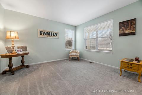 13725 Marigold Rd, Plainfield, IL 60544 photo 3