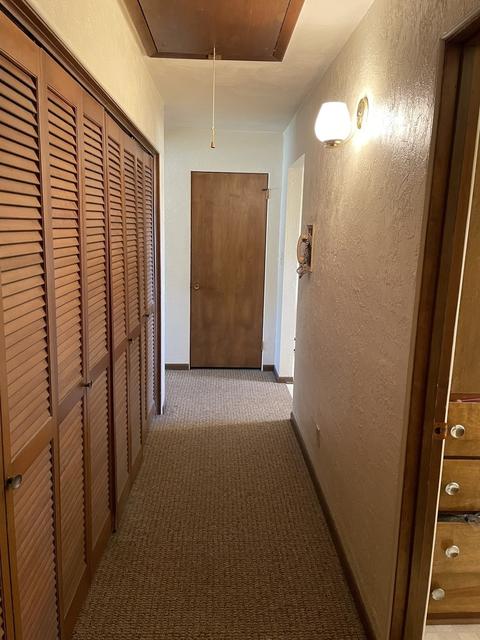 302 S John St, Thomasboro, IL 61878 photo 21