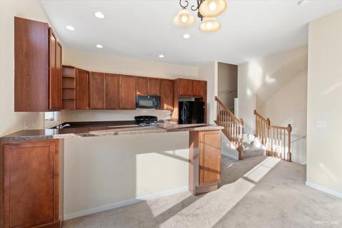 155 River Walk Ct, Elgin, IL 60120 photo 14