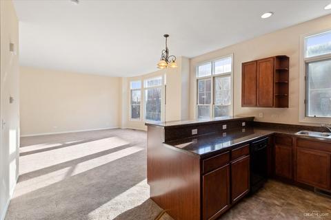 155 River Walk Ct, Elgin, IL 60120 photo 17