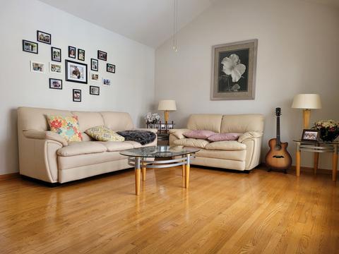14330 Springfield Ave, Midlothian, IL 60445 photo 4