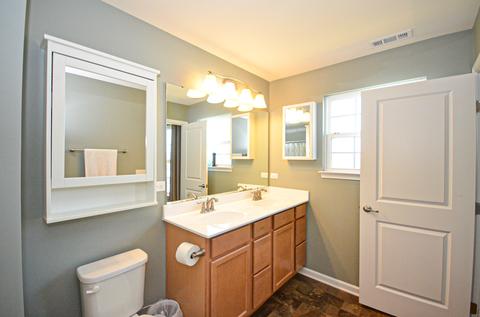12911 Cypress Ln, Plainfield, IL 60585 photo 19