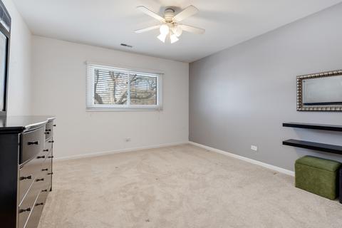 405 Andra Ct, Gilberts, IL 60136 photo 19