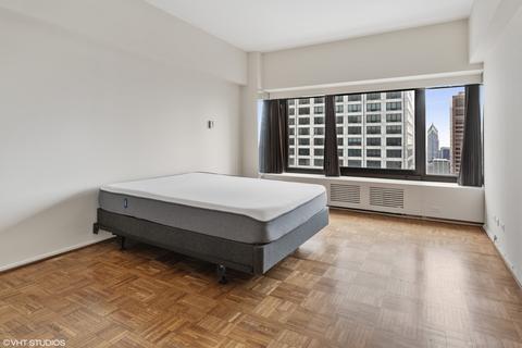 175 E Delaware Pl #5016, Chicago, IL 60611 photo 9