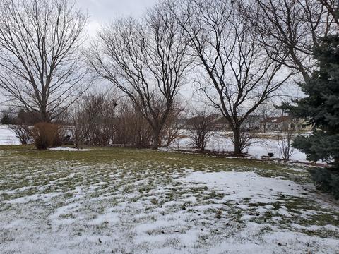 13952 Edgewater Ct, Plainfield, IL 60544 photo 5