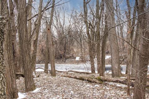 907 S Linden St, Normal, IL 61761 photo 38
