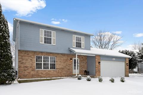5306 Riviera Blvd, Plainfield, IL 60586 photo 2