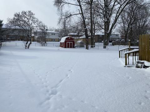 5637 Bohlander Ave, Berkeley, IL 60163 photo 19