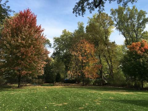 204 E Marion Ave, Prospect Heights, IL 60070 photo 24