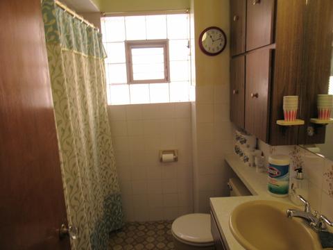 5134 S Lorel Ave, Chicago, IL 60638 photo 22