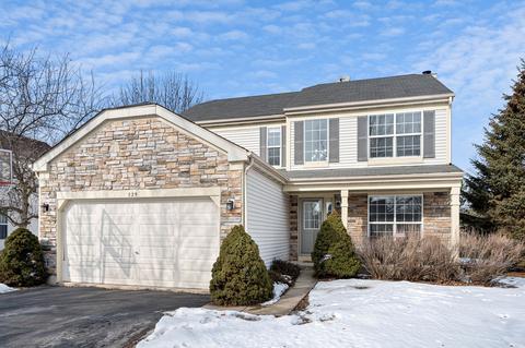 529 Sumac Dr, Aurora, IL 60506 photo 1