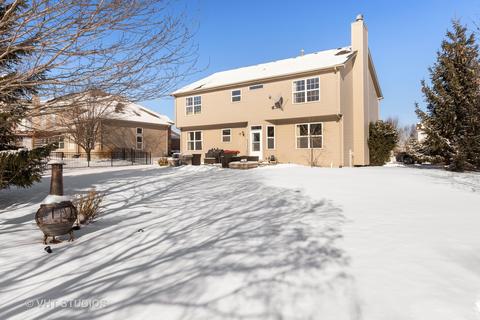 24801 Emerald Ave, Plainfield, IL 60585 photo 31