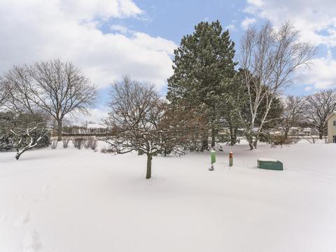 760 Buckingham Ct, Hoffman Estates, IL 60169 photo 22