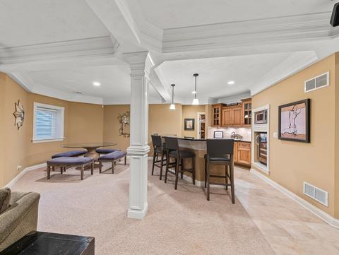 63 Mitchell Cir, Wheaton, IL 60189 photo 41