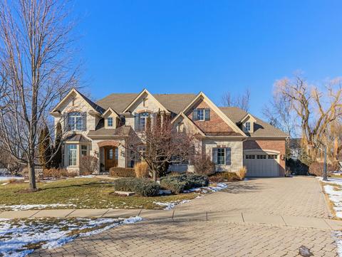 63 Mitchell Cir, Wheaton, IL 60189 photo 53