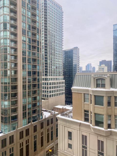 30 E Huron St #1305, Chicago, IL 60611 photo 20