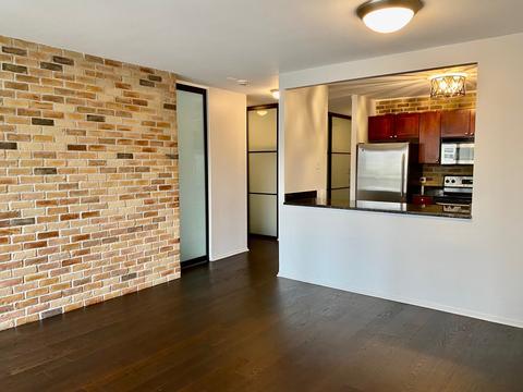 30 E Huron St #1305, Chicago, IL 60611 photo 23